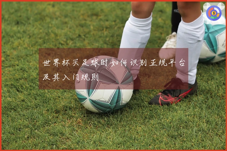 世界杯买足球时如何识别正规平台及其入门规则