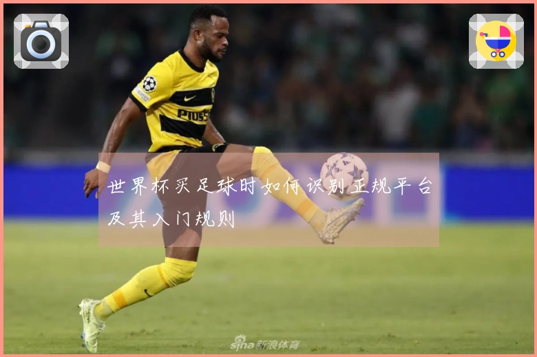 世界杯买足球时如何识别正规平台及其入门规则