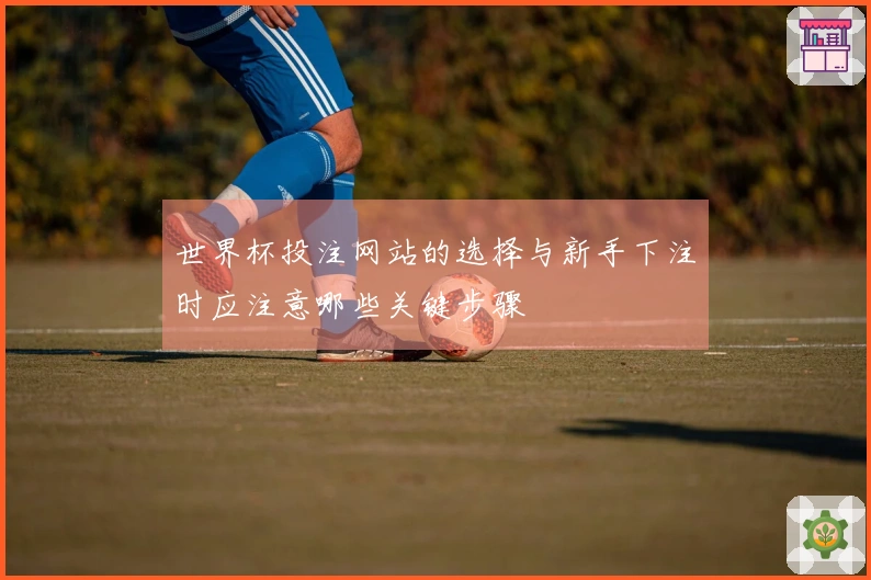 世界杯投注网站的选择与新手下注时应注意哪些关键步骤