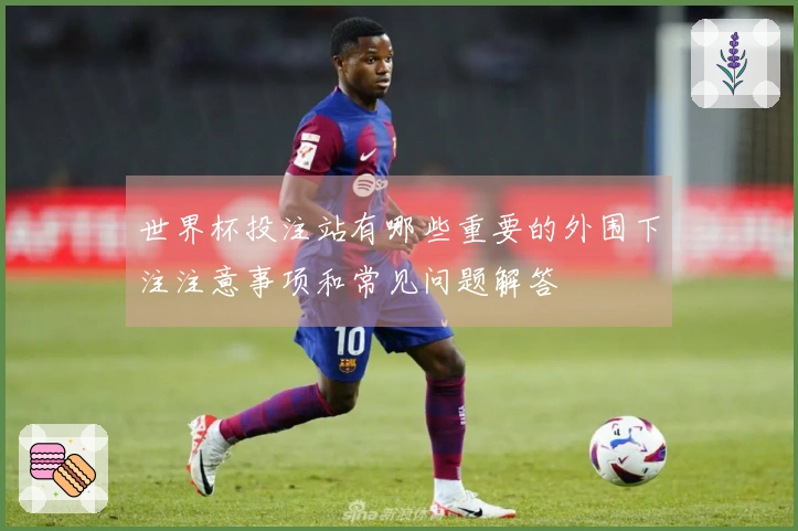 世界杯投注站有哪些重要的外围下注注意事项和常见问题解答