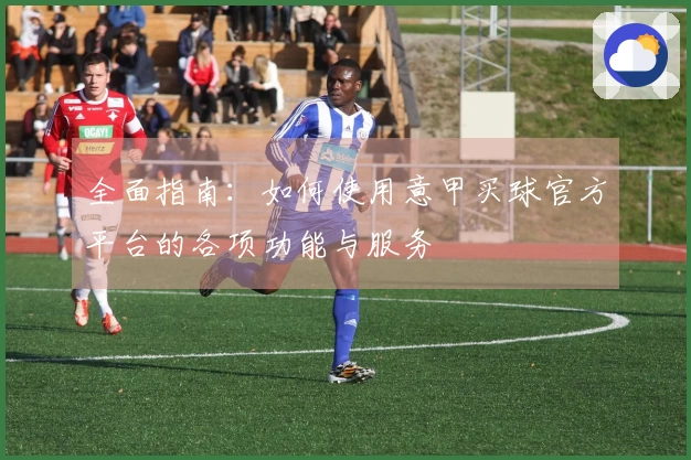 全面指南：如何使用意甲买球官方平台的各项功能与服务
