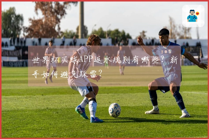 世界杯买球APP返水规则有哪些？新手如何避免踩雷？
