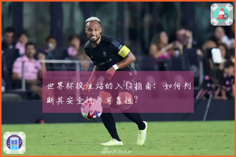 世界杯投注站的入门指南：如何判断其安全性与可靠性？