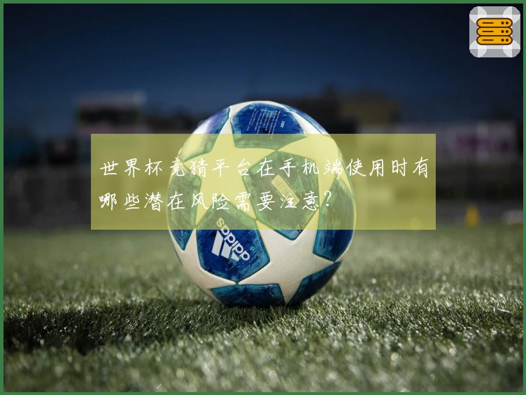 世界杯竞猜平台在手机端使用时有哪些潜在风险需要注意？