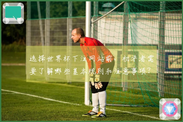 选择世界杯下注网站前，初学者需要了解哪些基本规则和注意事项？