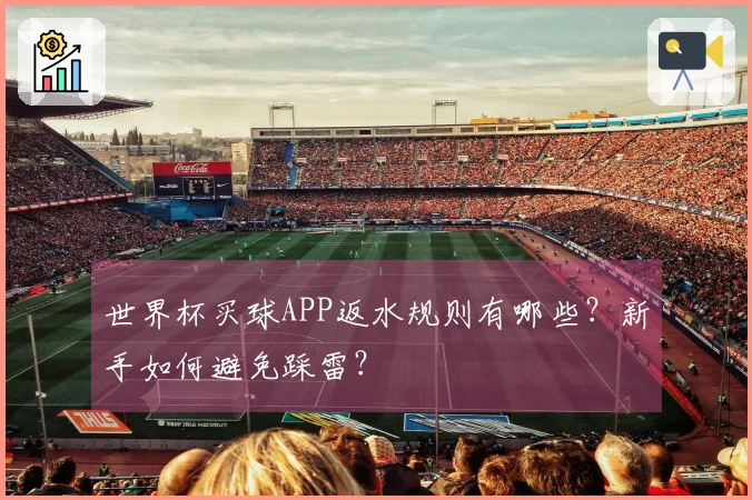 世界杯买球APP返水规则有哪些?新手如何避免踩雷?