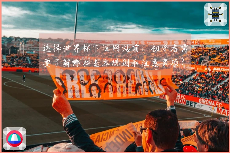 选择世界杯下注网站前，初学者需要了解哪些基本规则和注意事项？