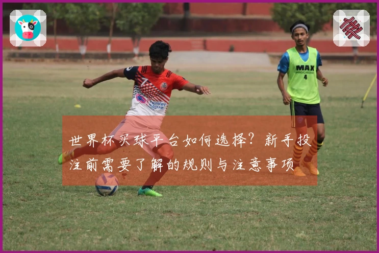 世界杯买球平台如何选择?新手投注前需要了解的规则与注意事项