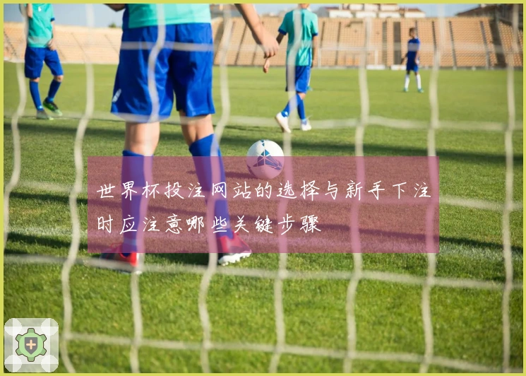 世界杯投注网站的选择与新手下注时应注意哪些关键步骤
