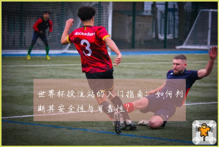 世界杯投注站的入门指南：如何判断其安全性与可靠性？