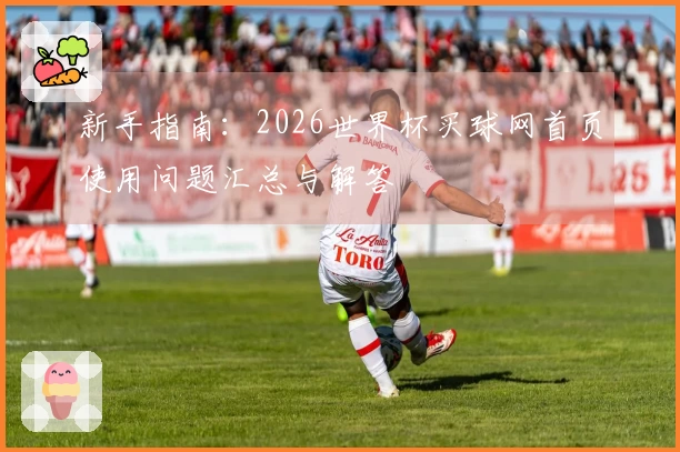 新手指南：2026世界杯买球网首页使用问题汇总与解答