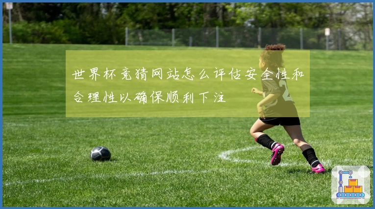 世界杯竞猜网站怎么评估安全性和合理性以确保顺利下注
